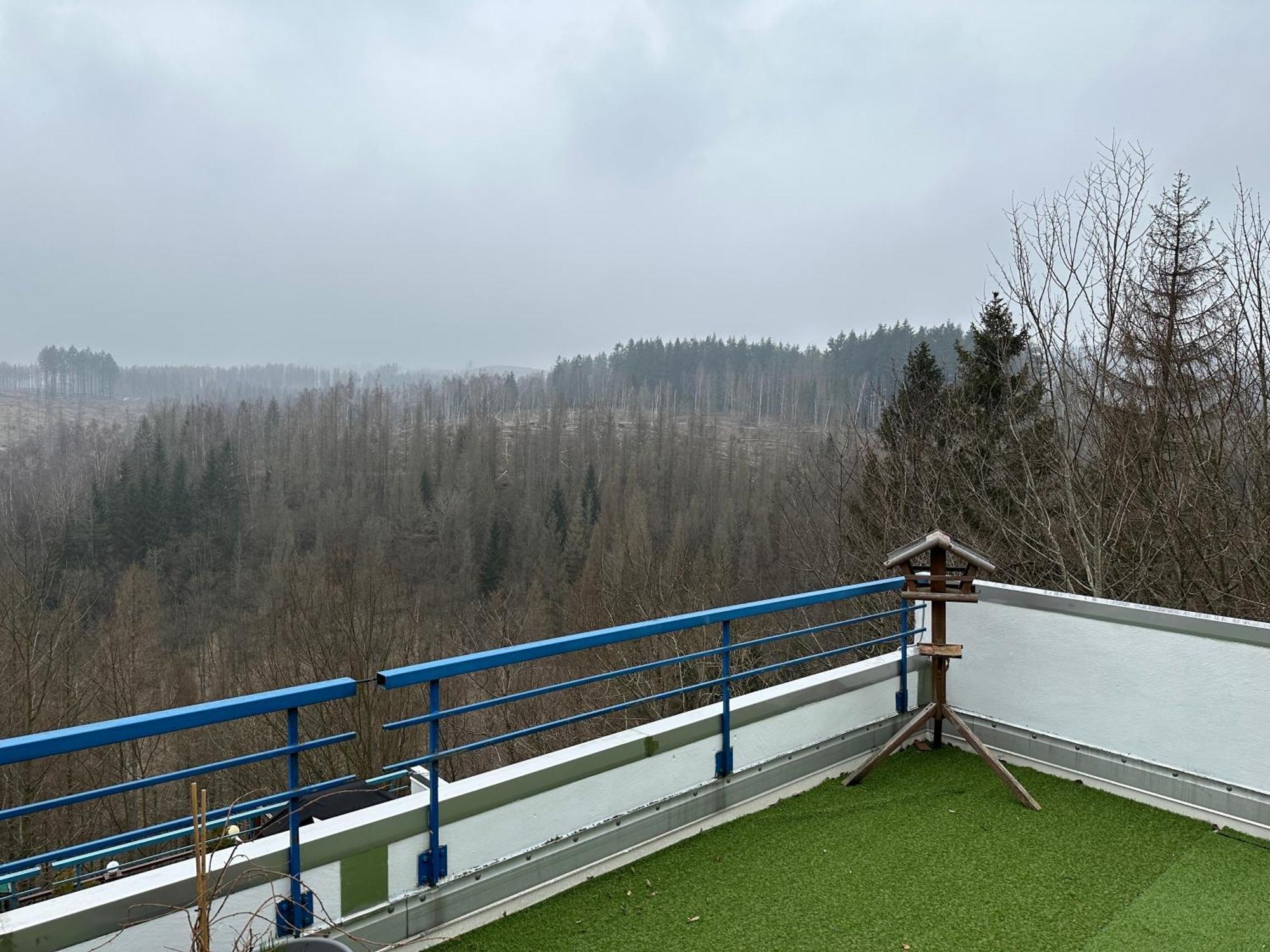 Ferienwohnung Harz #4, Pool, Sauna, Wlan Браунлаге Екстериор снимка